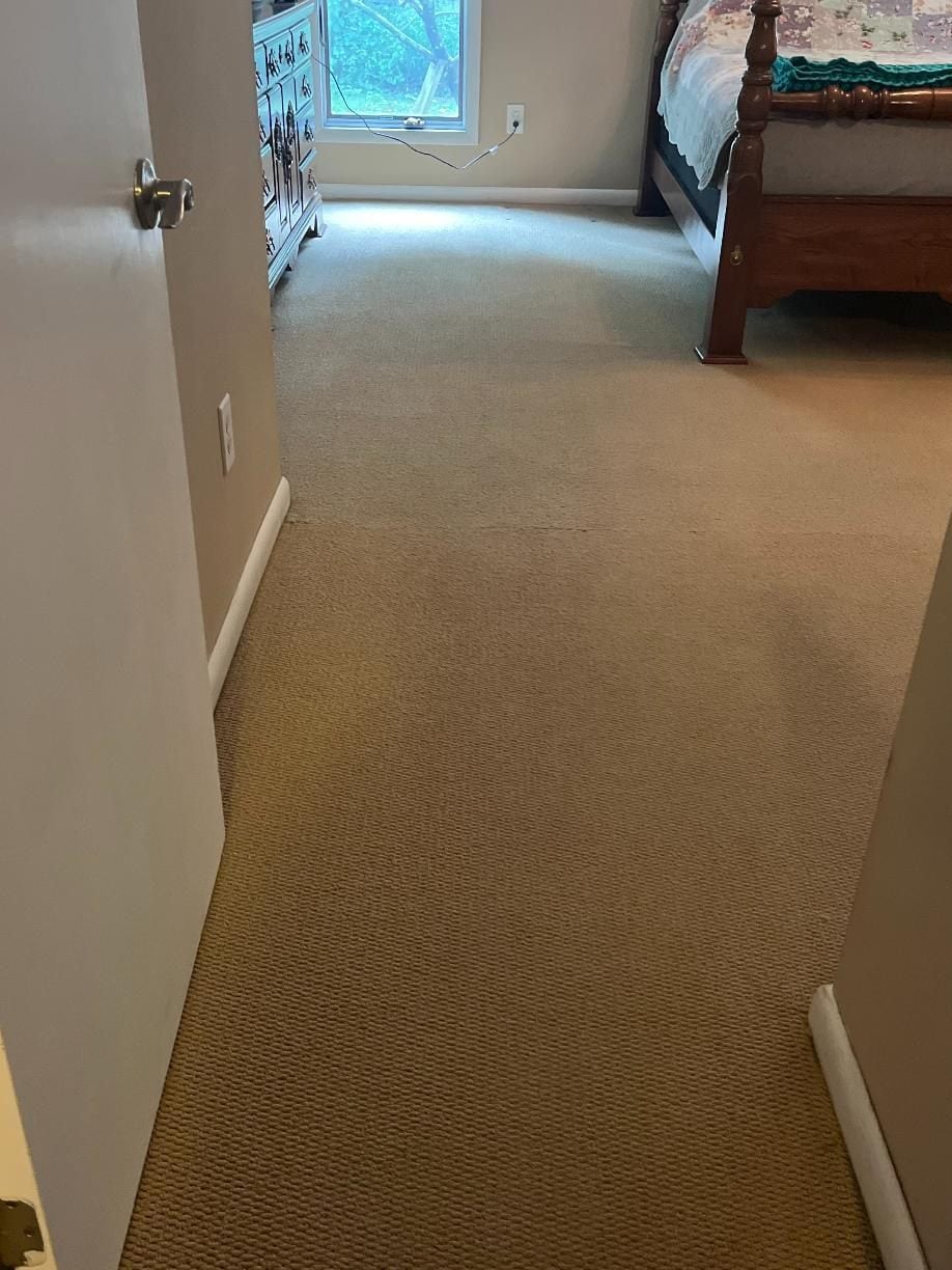 Carpet cleaning Shelton CT, traffic lane after extraction