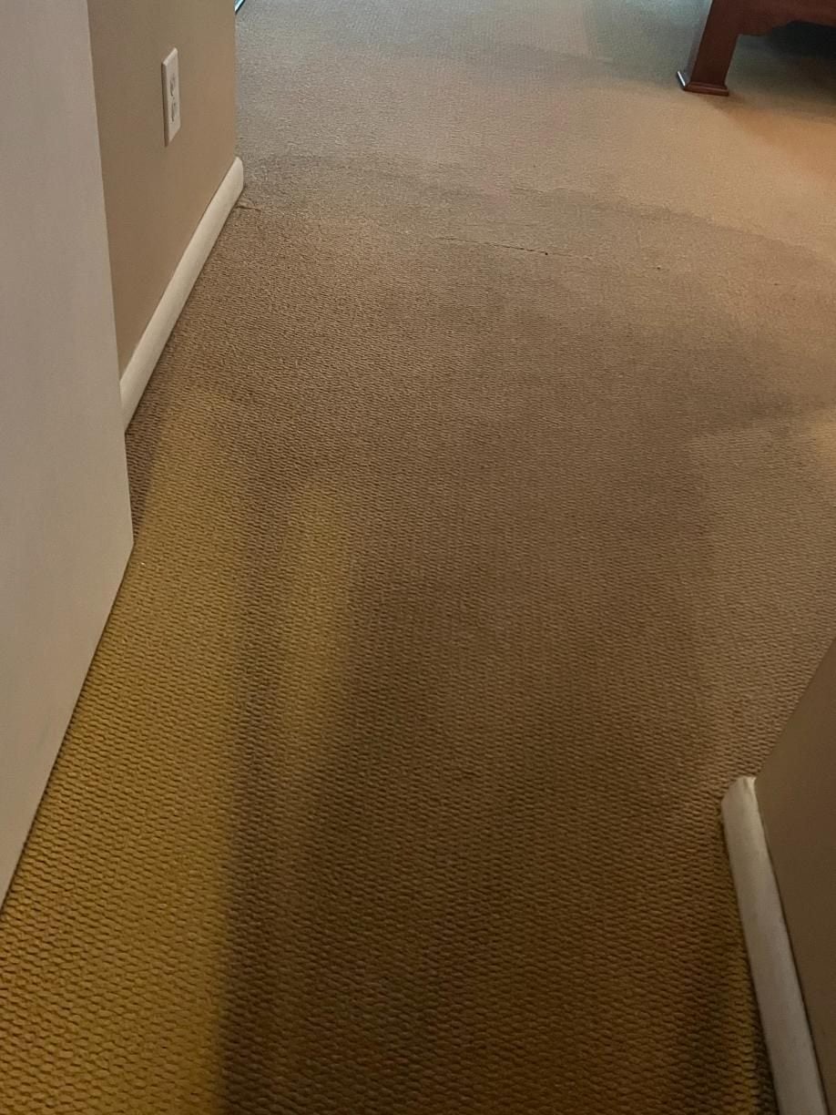 Carpet cleaning Shelton CT, traffic lane before extraction