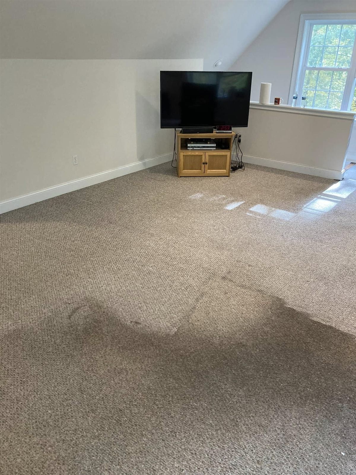 Clean carpet in a Shelton CT bonus room after professional extraction
