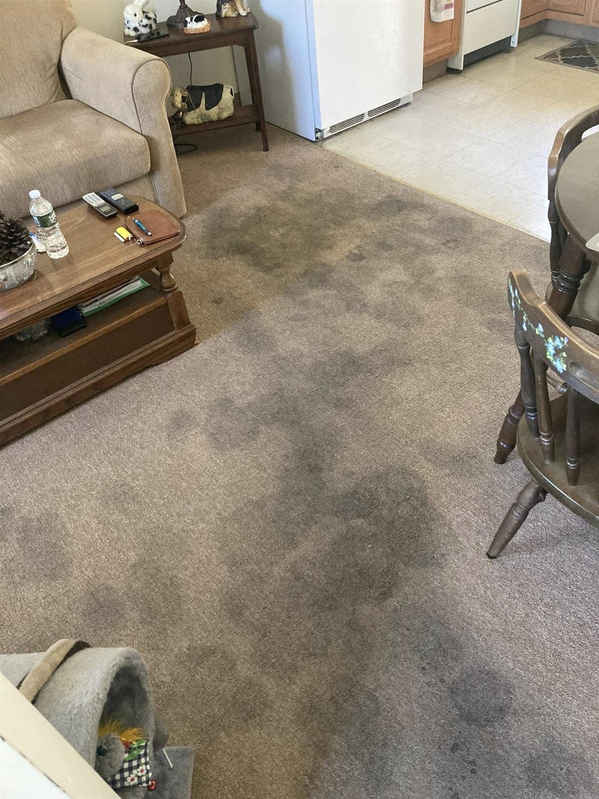 Heavily stained carpet before cleaning in a Shelton CT living room