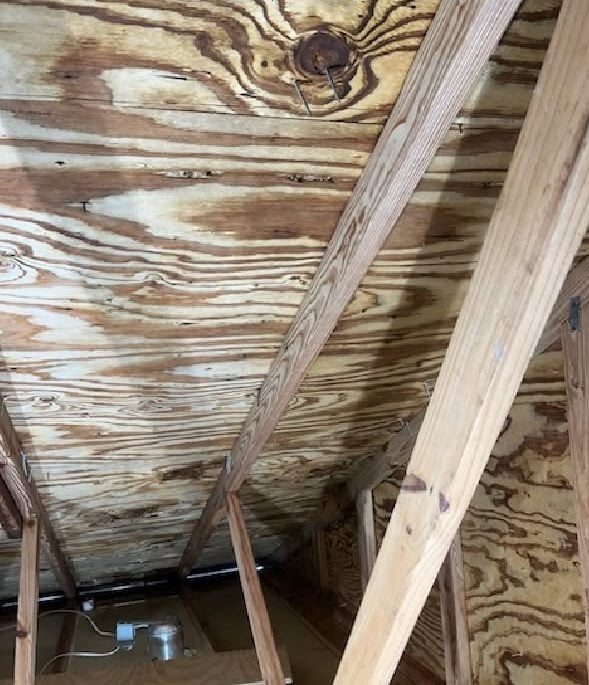 The same attic roof deck plywood after antimicrobial treatment and cleaning
