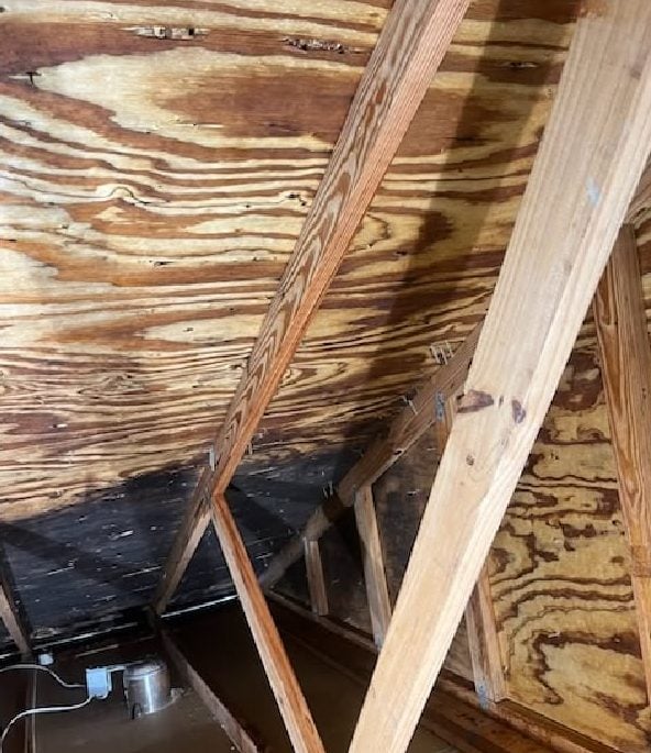 Mold-stained attic roof deck plywood before remediation