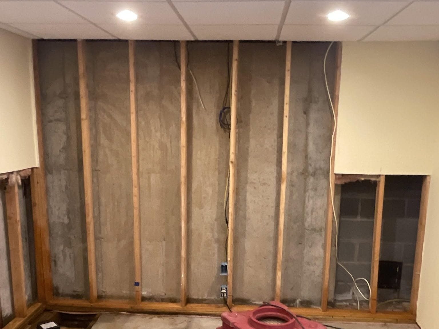 An air mover drying an open basement stud wall after moisture and mold remediation