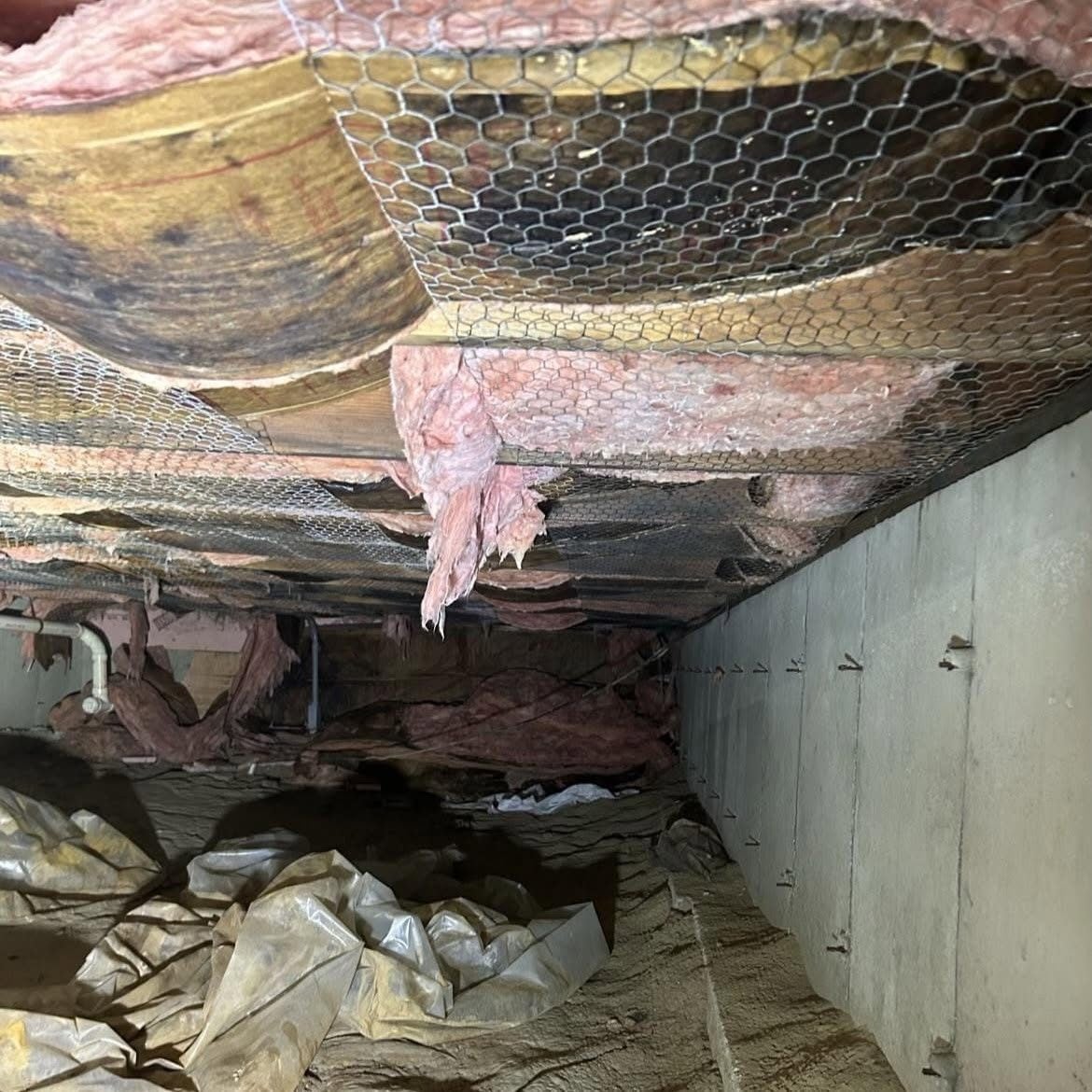 Mold-darkened floor joists, wire mesh, and sagging insulation exposed inside a crawlspace