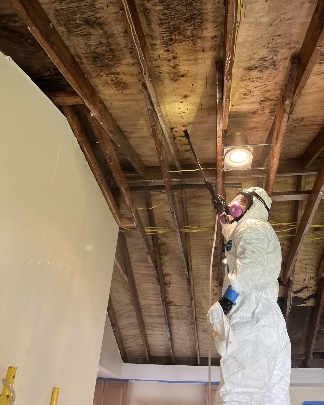 Attic mold removal by Professional Cleaning & Restoration Systems