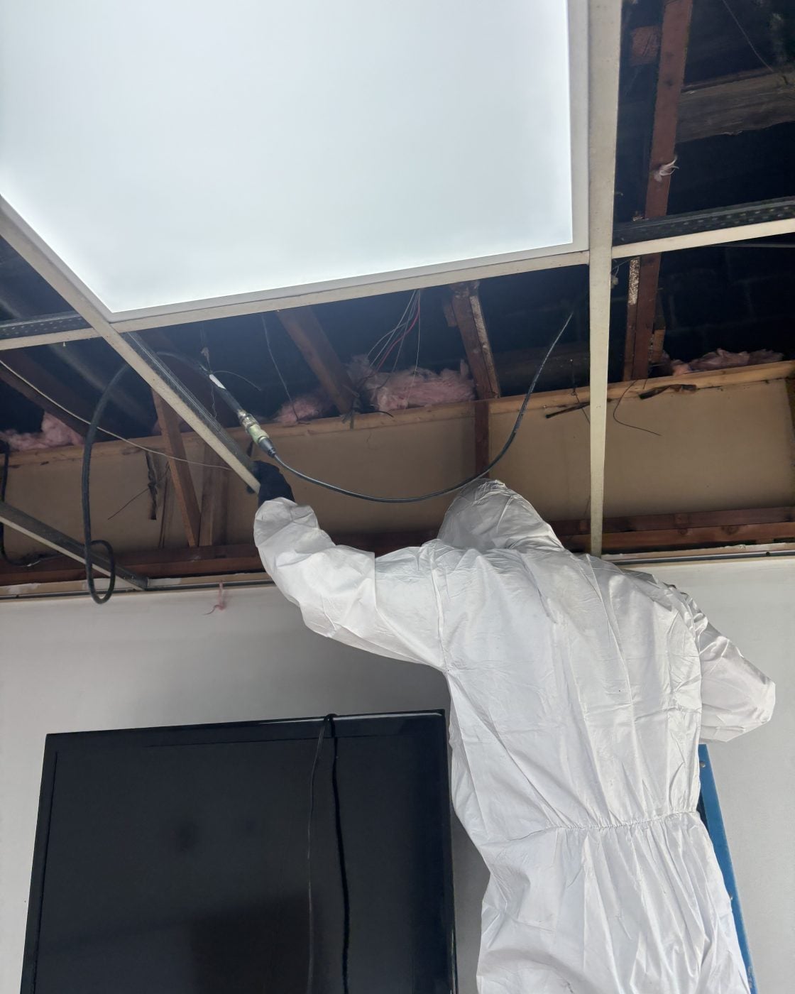 Black mold removal by Professional Cleaning & Restoration Systems