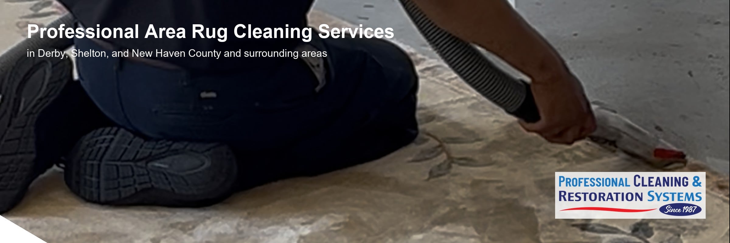 Area rug cleaning in Derby CT — a PCRS technician kneeling on a large wool area rug, drawing a hand tool across the pile with the solution hose beside him