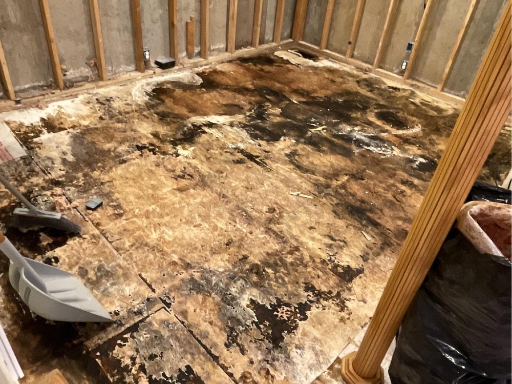 Black mold removal before