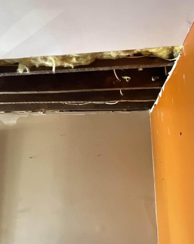 Black mold removal after