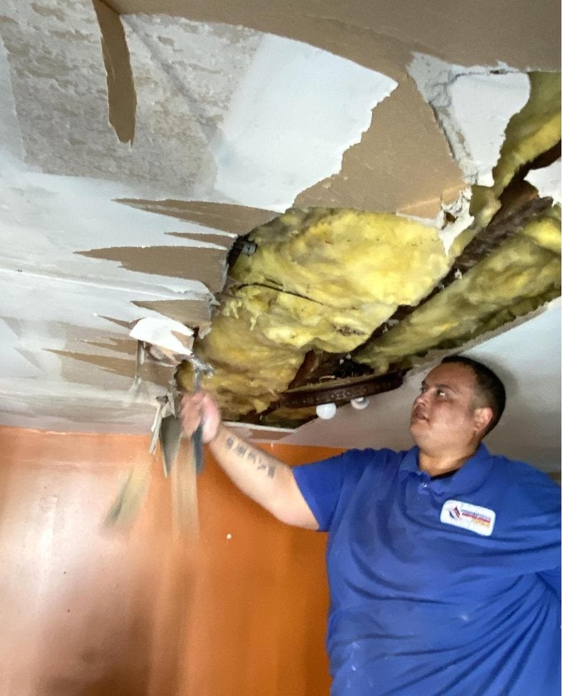 Black mold removal before