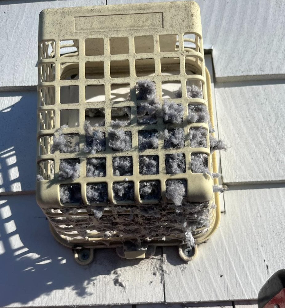 Lint-clogged dryer vent exterior before cleaning