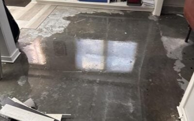 Water Loss to Mold Growth: Why Immediate Response Matters