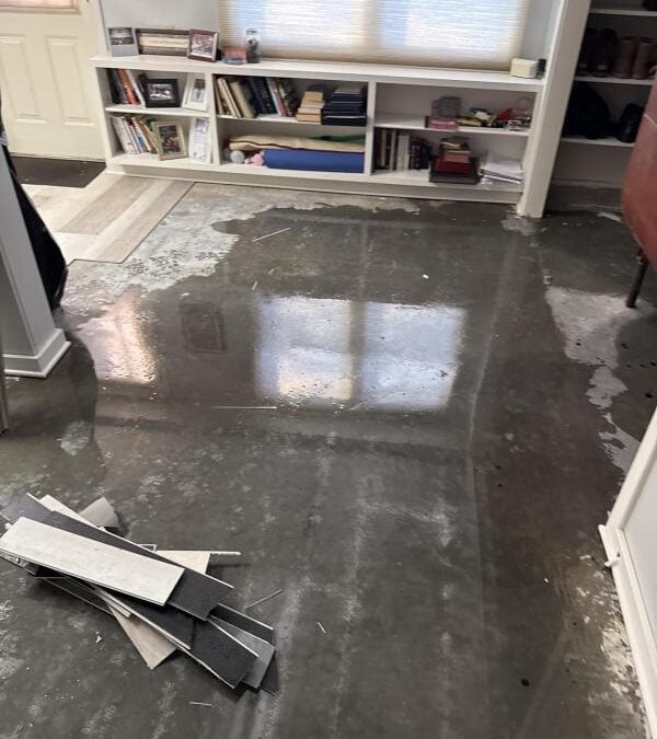 Water Loss to Mold Growth: Why Immediate Response Matters - Image 1