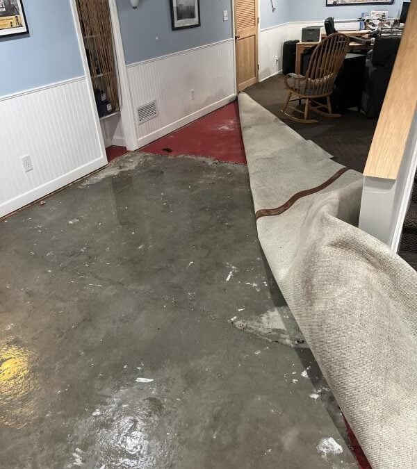 When Insurance Won't Cover the Damage: What Homeowners Should Do Next - Image 1