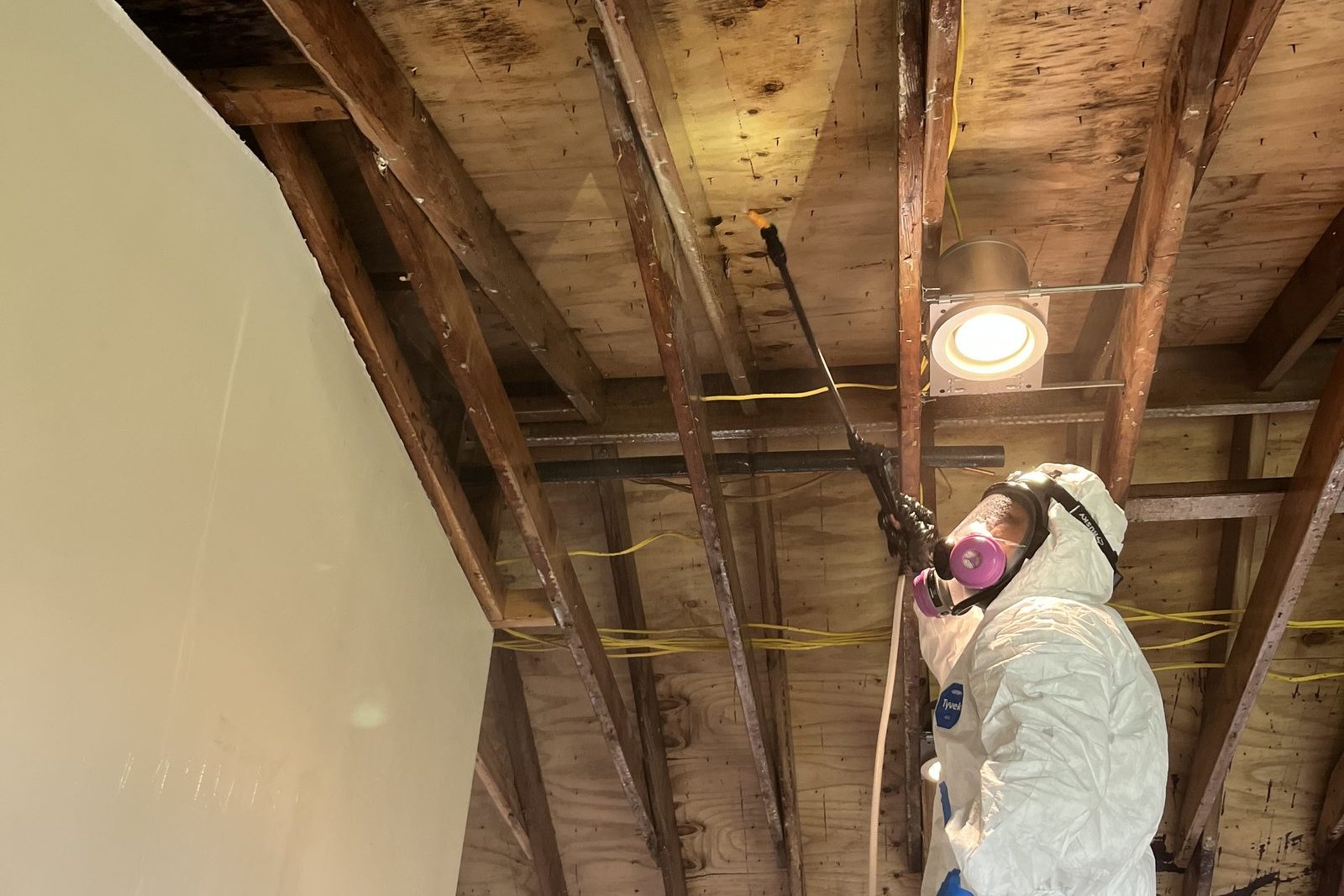Attic mold removal by Professional Cleaning & Restoration Systems