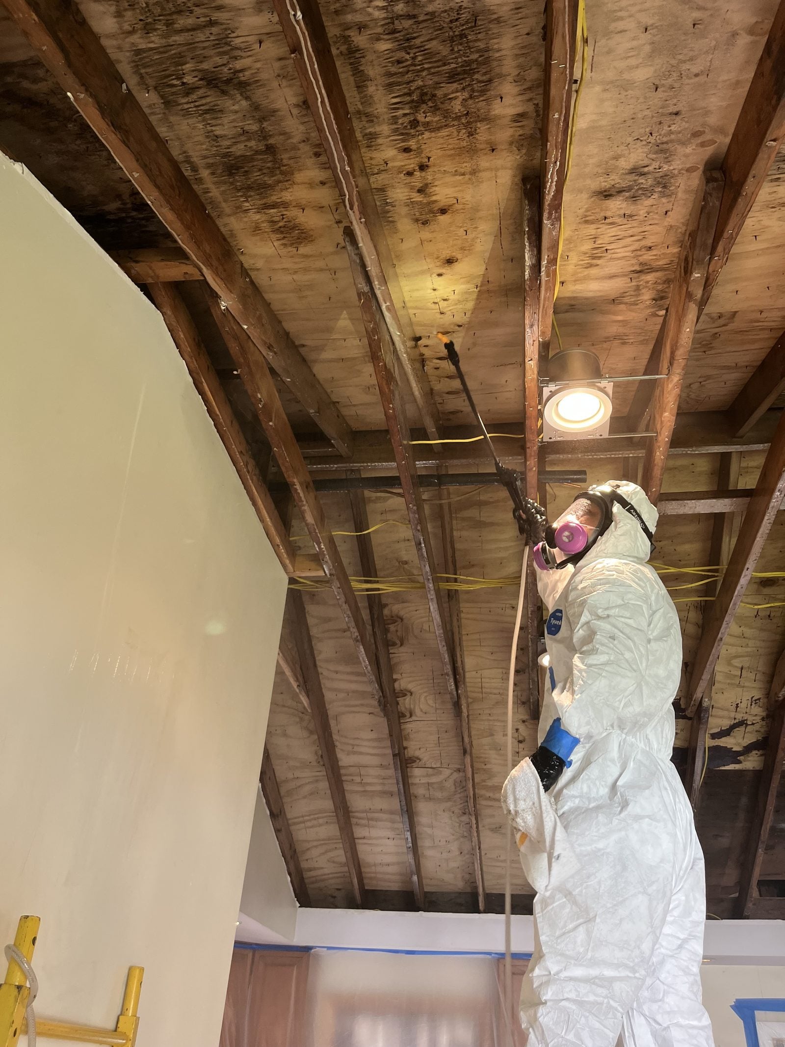 A PCRS technician applying antimicrobial to an affected roof deck