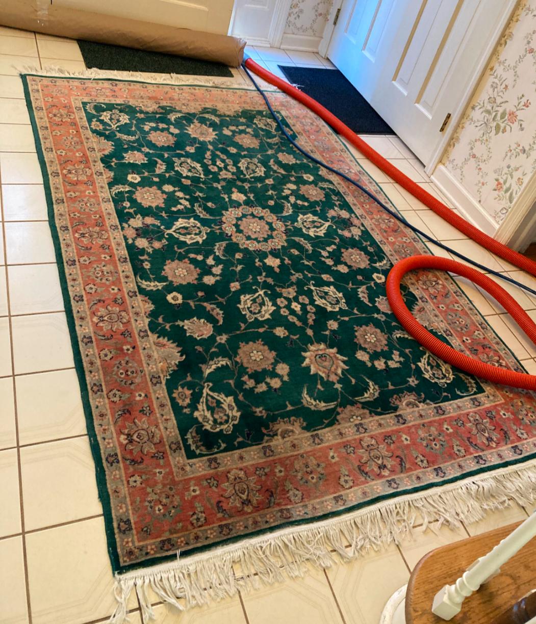 Technician cleaning an area rug