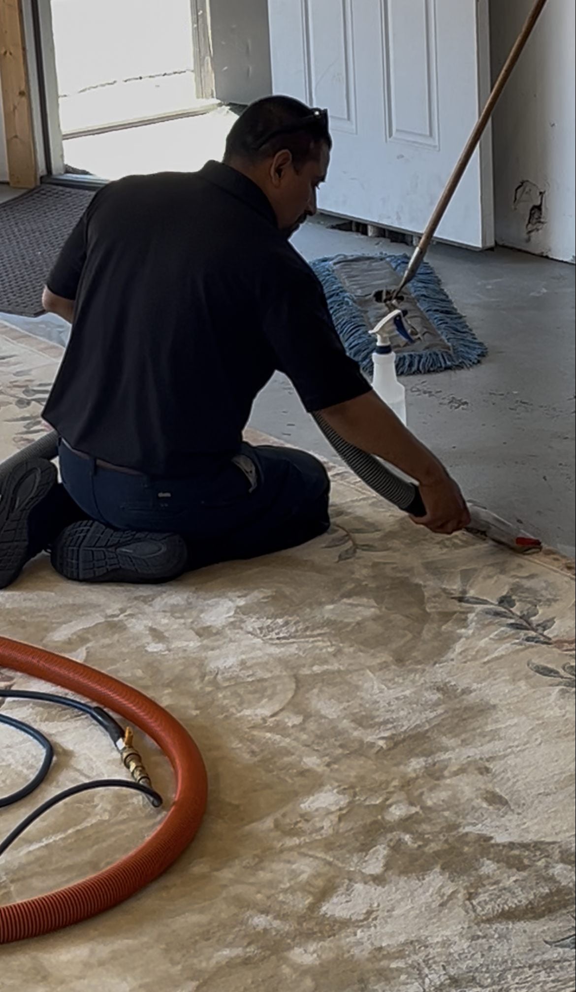 Clean area rug after professional cleaning