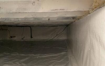 Ansonia, CT Crawlspace Mold Remediation & Encapsulation