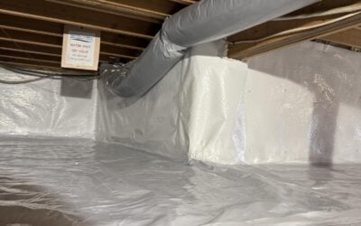 Basement Air Quality Rejuvenation in Guilford, CT