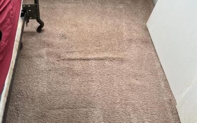 Complete Carpet Renewal and Odor Elimination in Naugatuck, CT