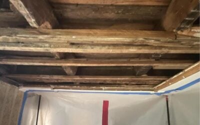 Seymour CT Bathroom Mold Removal & Remediation