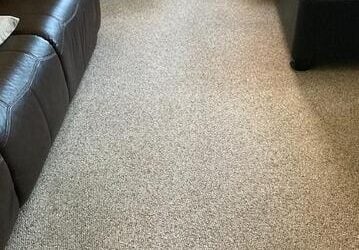 Carpet Revitalization Success in Seymour, CT