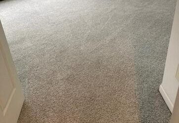 Shelton, CT Carpet Revitalization After Move-Out