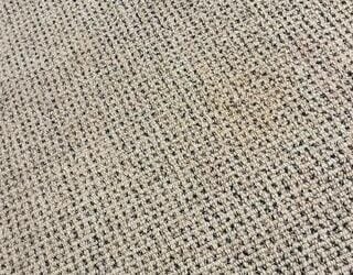 Wilton, CT Carpet Refresh After a Tough Stain