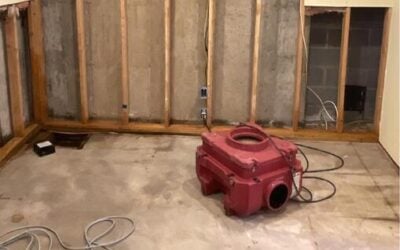 Windsor CT Basement Mold Cleanup & Remediation