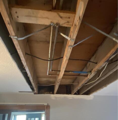 Attic mold removal after