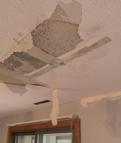 Attic mold removal before